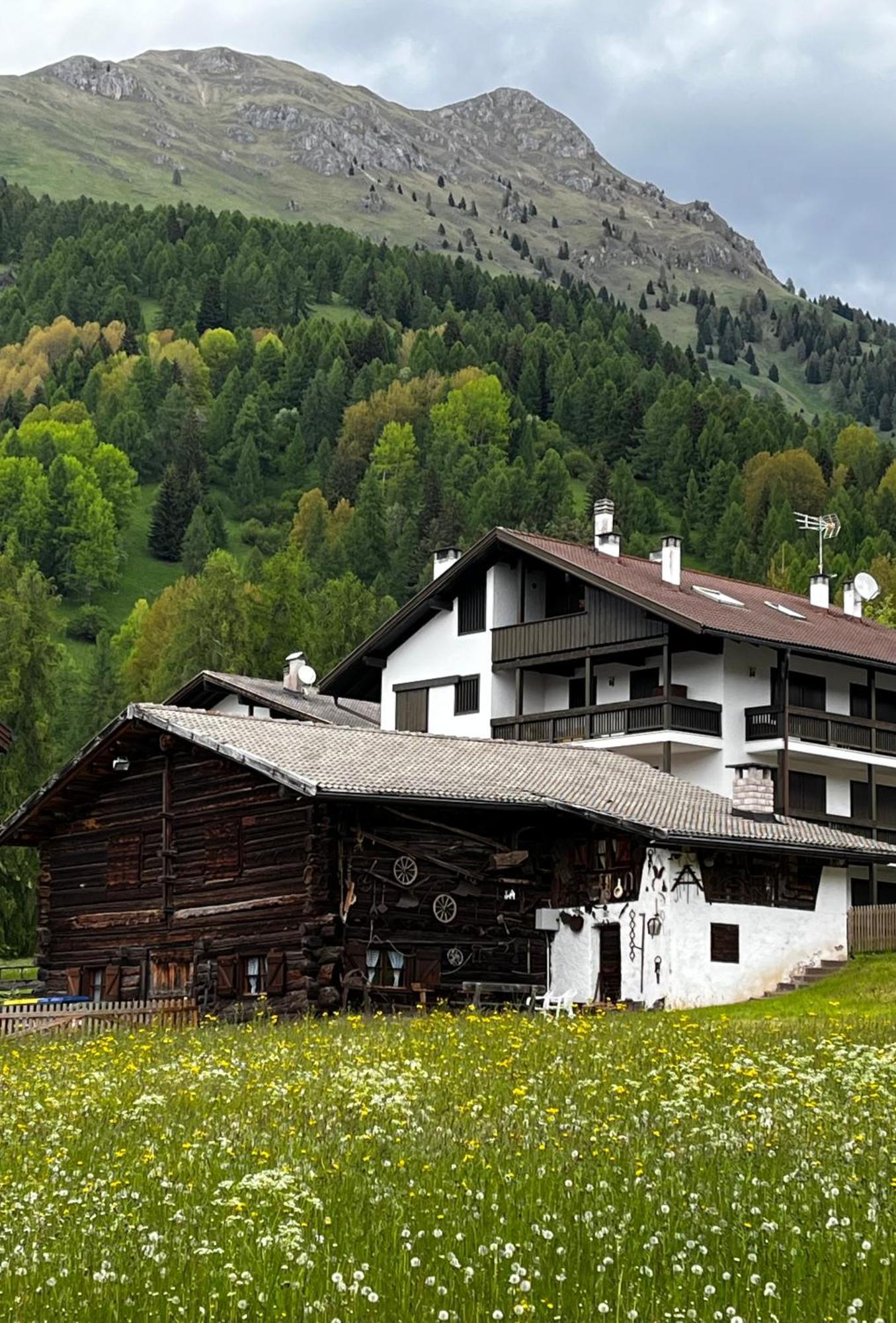 Hotel Stella Alpina Bellamonte Esterno foto