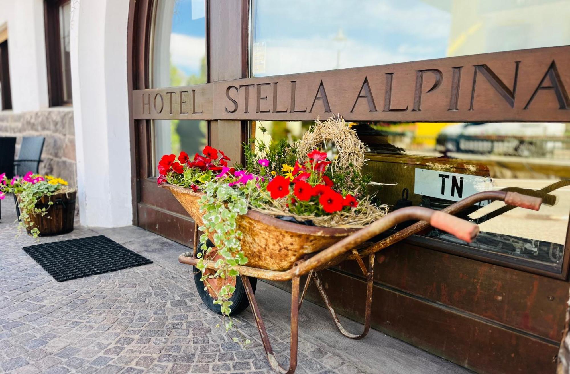 Hotel Stella Alpina Bellamonte Esterno foto
